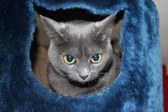 Was ist denn hier los?